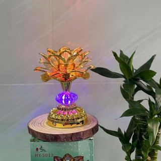 Đèn bông sen niệm phật, âm điệu niệm phật Thầy Nhuận Đức