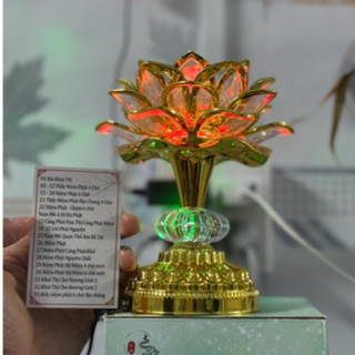 Đèn bông sen niệm phật, âm điệu niệm phật Thầy Nhuận Đức