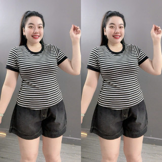 Áo Thun Ôm Kẻ Sọc Bigsize Nữ Tay Ngắn Cổ Trong Form Basic Phong Cách Trẻ Trung Cá Tính A285