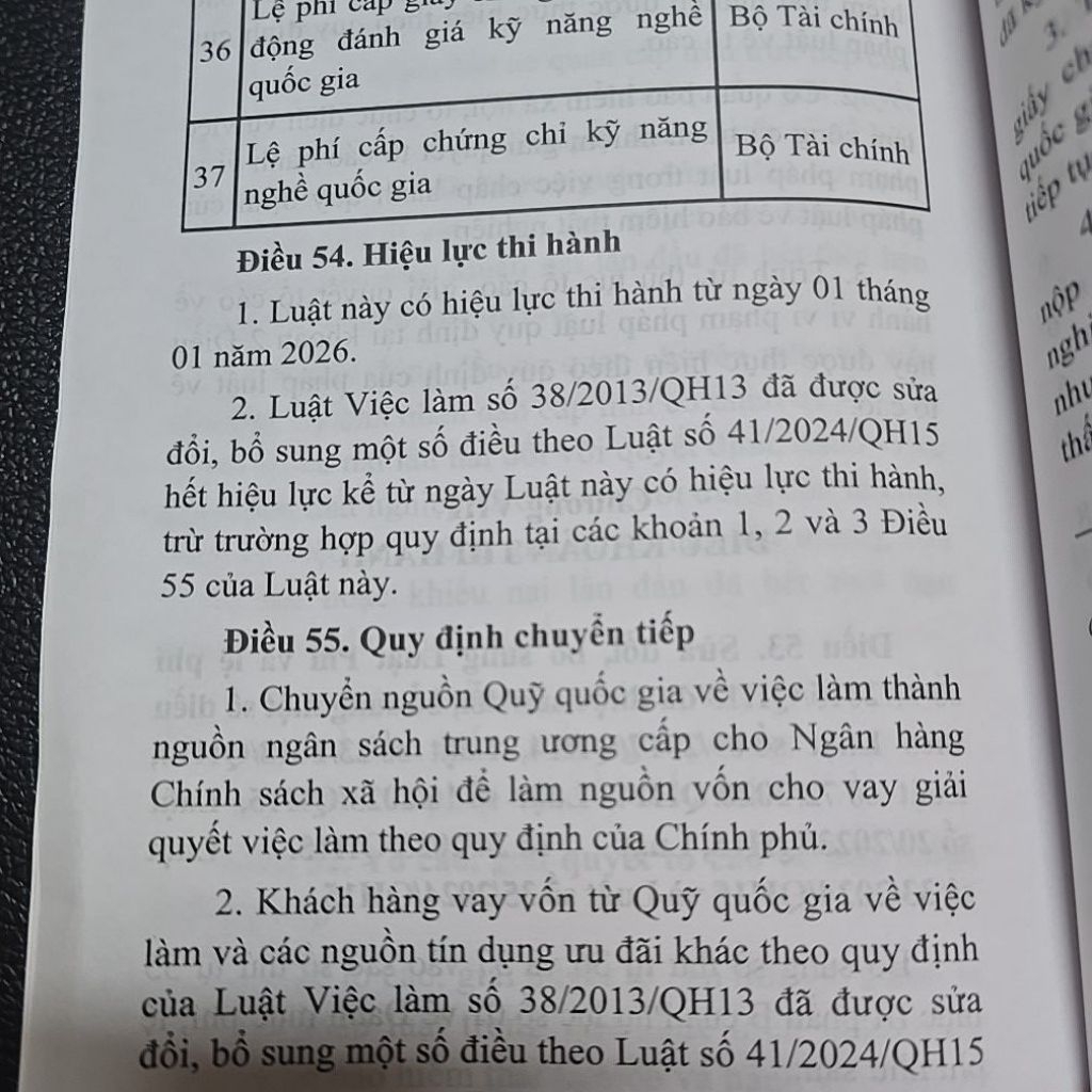 Sách - Luật việc làm năm 2025 (NXB Lao Động)