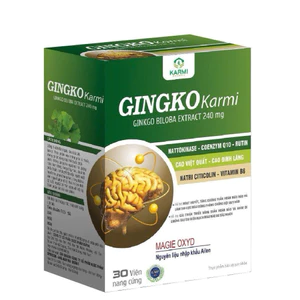 Viên uống Ginkgo Karmi 240mg – Hoạt Huyết Dưỡng Não, Tăng Tuần Hoàn Não, Giảm Đau Đầu Chóng Mặt -[ Hộp 30 Viên ]