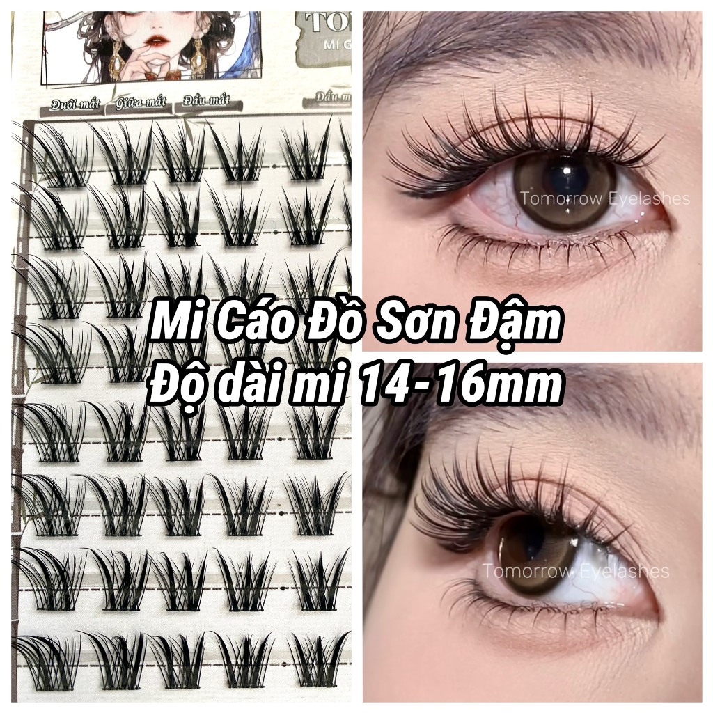 Lông Mi Giả Cáo Thanh Khâu-Cáo Đồ Sơn 2 Phiên Bản  Đẹp Như Mi Nối, Độ Dài 14-16mm