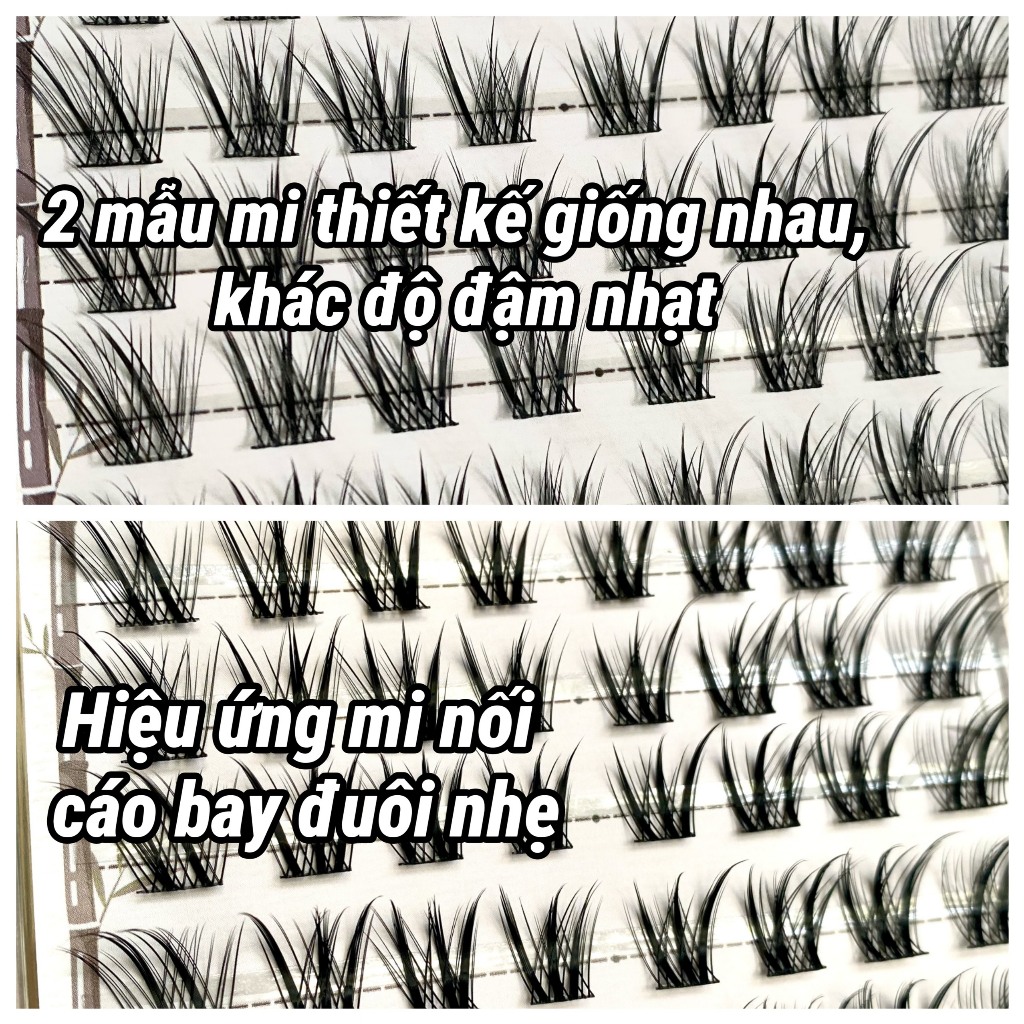 Lông Mi Giả Cáo Thanh Khâu-Cáo Đồ Sơn 2 Phiên Bản  Đẹp Như Mi Nối, Độ Dài 14-16mm