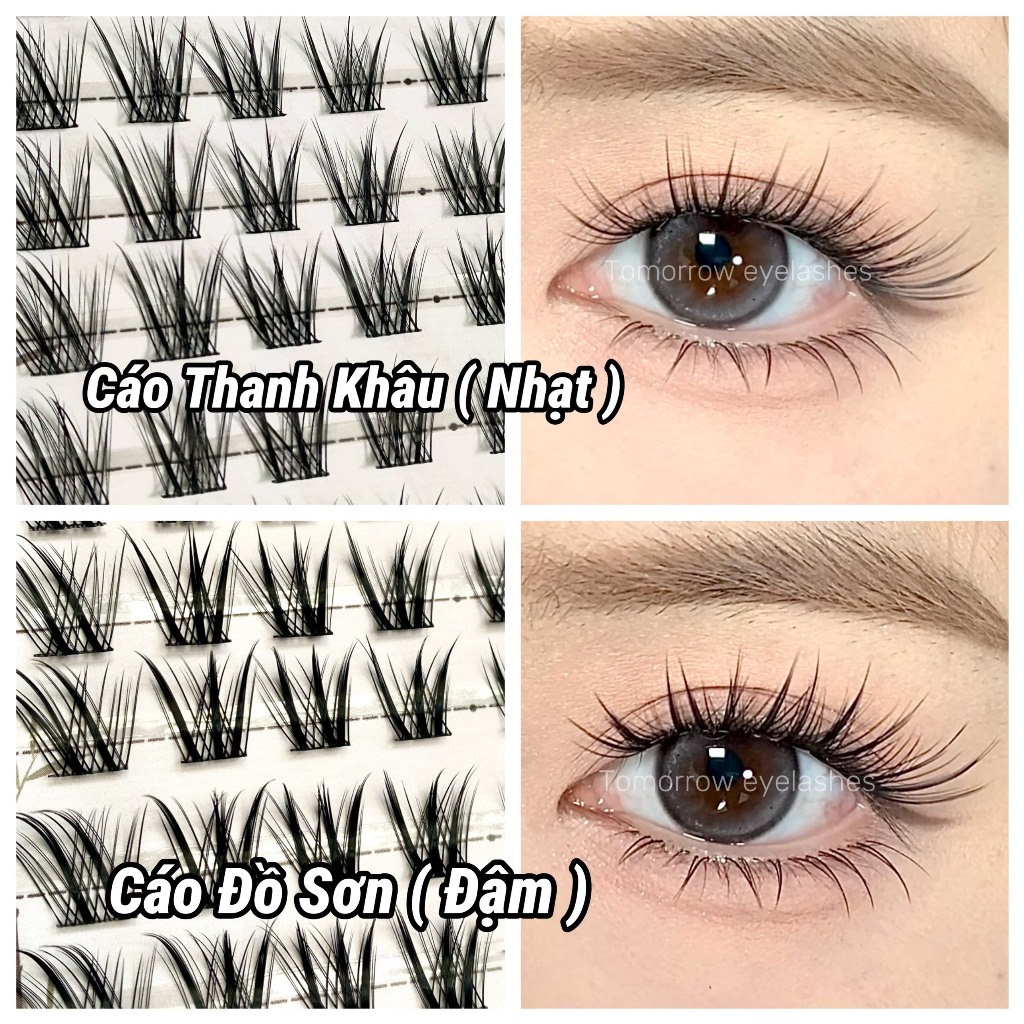 Lông Mi Giả Cáo Thanh Khâu-Cáo Đồ Sơn 2 Phiên Bản  Đẹp Như Mi Nối, Độ Dài 14-16mm