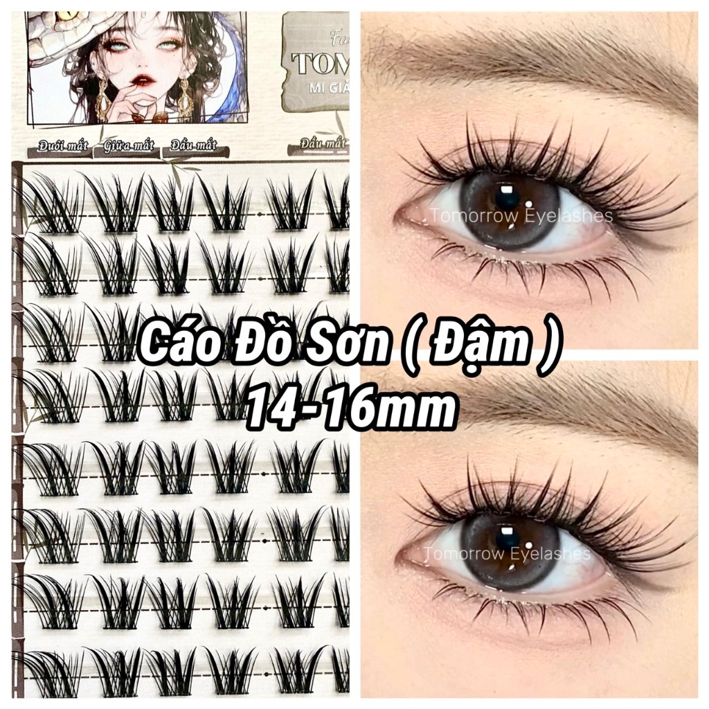 Lông Mi Giả Cáo Thanh Khâu-Cáo Đồ Sơn 2 Phiên Bản  Đẹp Như Mi Nối, Độ Dài 14-16mm