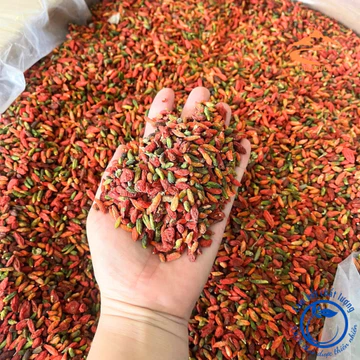 Kỷ tử đỏ hoang dã dãy núi Trường Bạch (500g, 1kg). Kỉ tử đỏ, câu kỷ tử sấy khô hữu cơ organic pha trà, ngâm rượu
