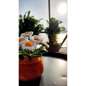 Chậu cúc len handmade - quà tặng chậu hoa trang trí decor