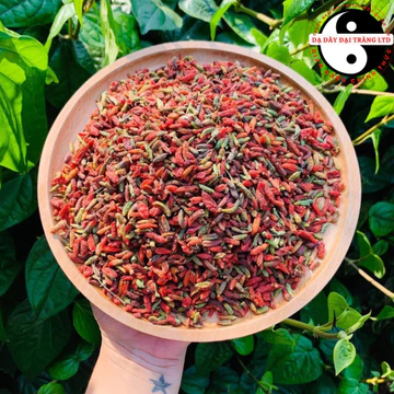 Kỷ tử đỏ hoang dã dãy núi Trường Bạch (500g, 1kg). Kỉ tử đỏ, câu kỷ tử sấy khô pha trà, ngâm rượu hữu cơ đạt chuẩn
