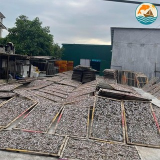 Cá Ruội Khô Đặc Sản Hải Thịnh Nam Định – Hải Sản Biển Khô Ngon Tự Nhiên Không Chất Bảo Quản