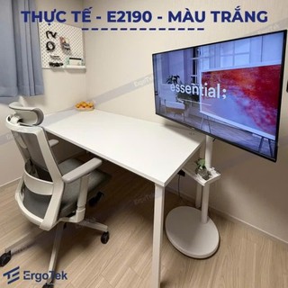 Giá Treo Màn Hình Máy Tính Di Động ErgoTek E2190 17 - 35 Inch - Giá Đỡ Màn Hình Có 4 Bánh Xe Di Chuyển Trên Sàn Nhà