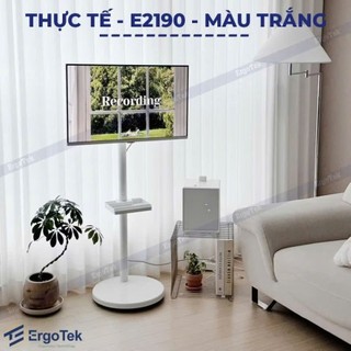Giá Treo Màn Hình Máy Tính Di Động ErgoTek E2190 17 - 35 Inch - Giá Đỡ Màn Hình Có 4 Bánh Xe Di Chuyển Trên Sàn Nhà