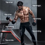 Ghế tập tạ cao cấp, gấp gọn tại nhà, 14 trong 1, chịu tải 300kg, gập bụng đa năng, dễ dàng lắp ráp, tặng kèm phụ kiện — ảnh 4
