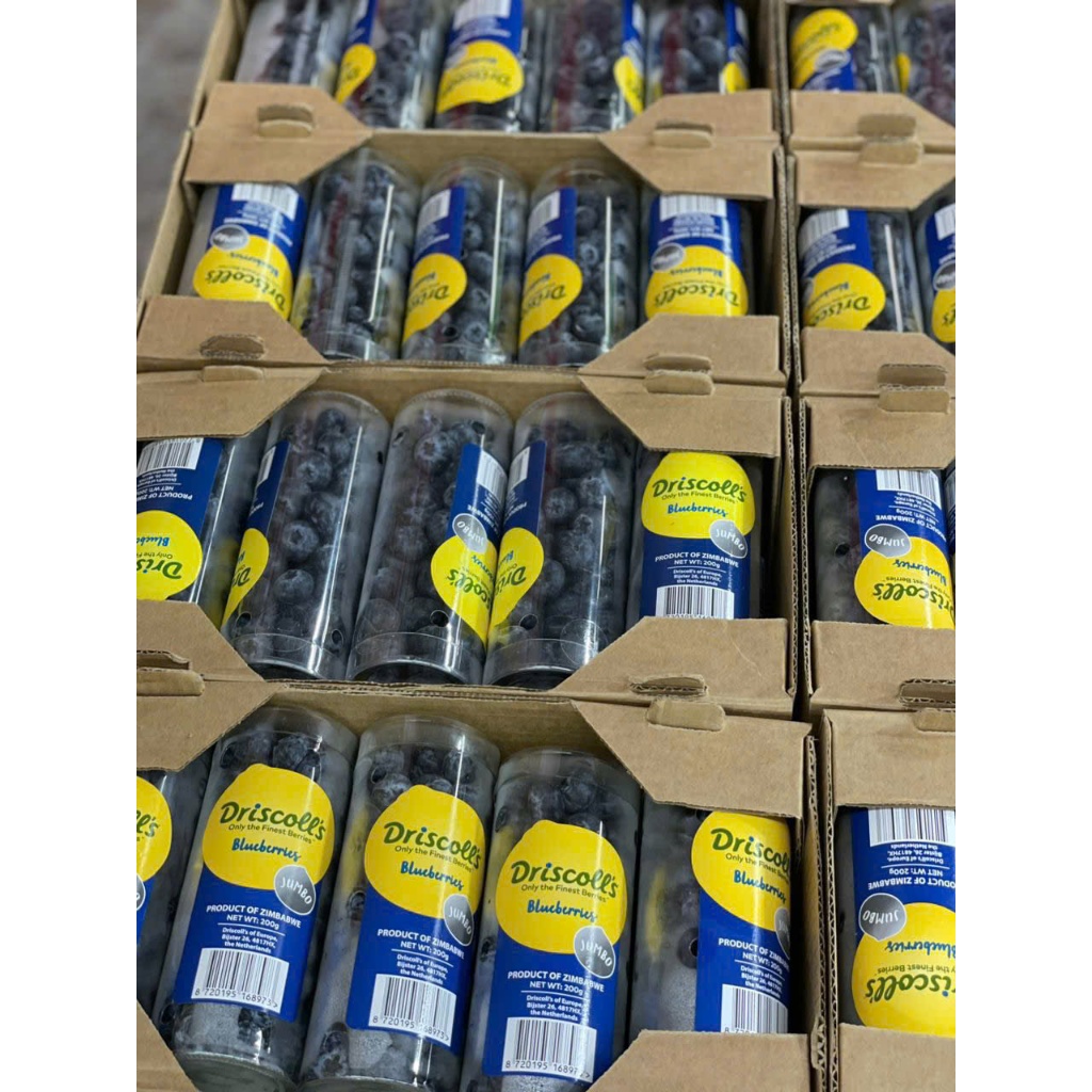 [ Ship Hỏa Tốc TP HCM ] 1 hộp Việt quất U.S.A (125g) Nam Phi ống (200g)