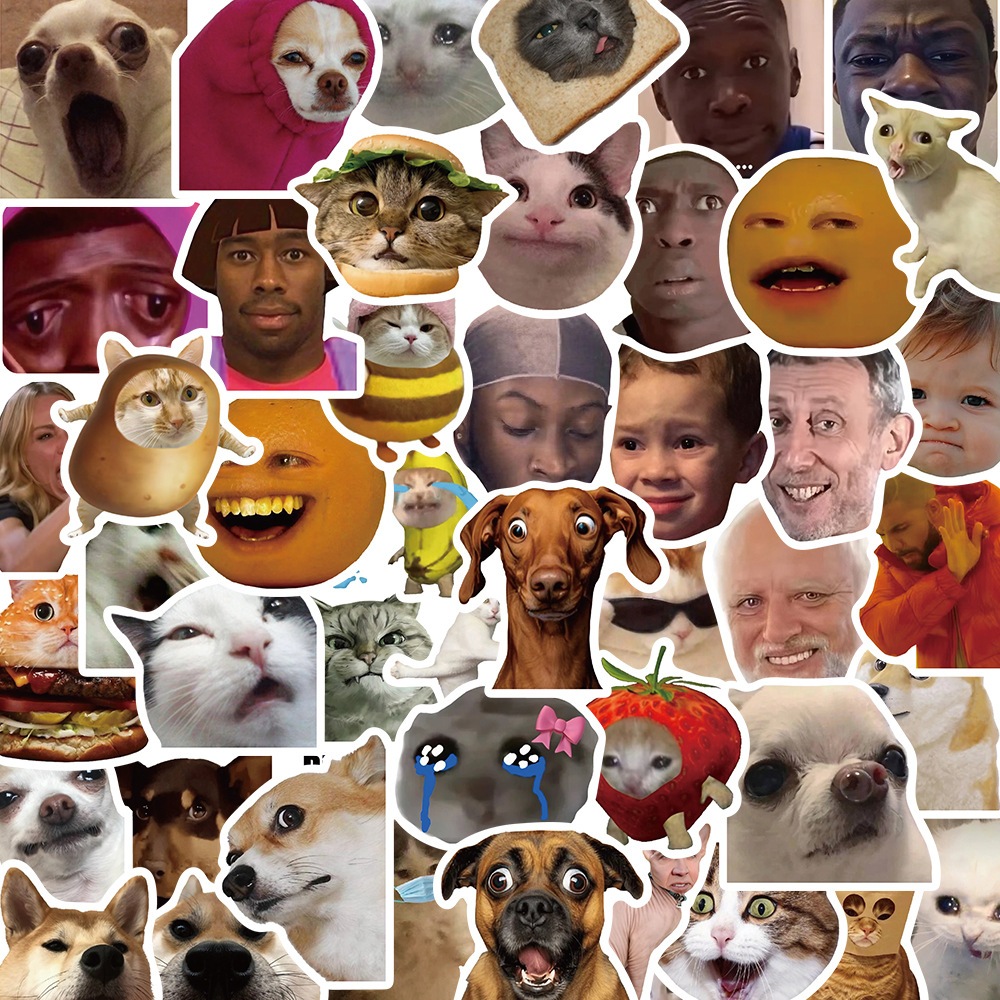 Sticker meme - Giá Tốt, Miễn Phí Vận Chuyển, Đủ Loại | Shopee Việt Nam