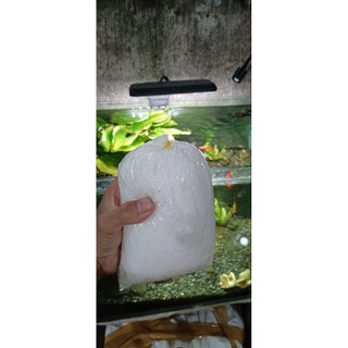 Muối khử khuẩn hồ cá cảnh thủy sinh giúp sát khuẩn hồ cá hiệu quả