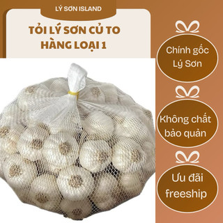 TỎI LÝ SƠN NHIỀU NHÁNH LOẠI 1 - Chính Gốc nhà trồng - Vị cay, không hăn, không pha trộn