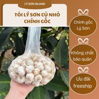 TỎI LÝ SƠN NHIỀU NHÁNH loại củ nhỏ - Chính Gốc nhà trồng - Vị cay, không hăn, không pha trộn