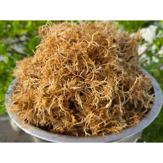 500GR RONG XU XOA LÝ SƠN (RAU ĐÔNG), RONG XU XOA  - RONG BIỂN NẤU XU XOA TỪ ĐẢO LÝ SƠN CHÍNH GỐC