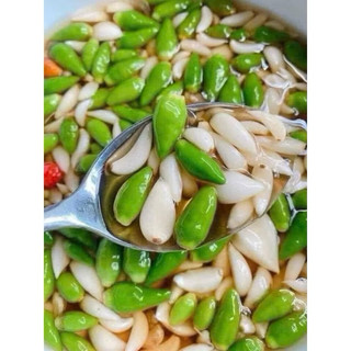 🔥 TỎI LÝ SƠN🔥  NGÂM GIẤM NUÔI Chua ngọt, ớt xiêm xanh Đặc Sản Lý Sơn & Quảng Ngãi