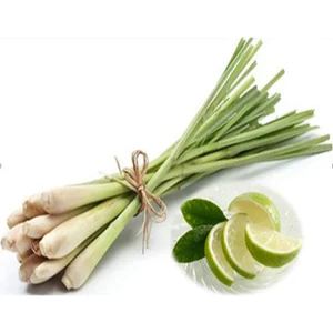HƯƠNG THẢO MỘC SẢ CHANH GỪNG (LEMONGRASS & GINGER FRAGRANCE OIL) 50mL 100mL