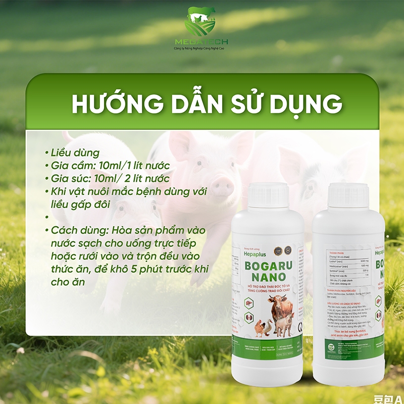 Product image NANO BOGARU - Hỗ Trợ Bổ Gan & Tăng Cường Tiêu Hóa Cho Vật Nuôi 2