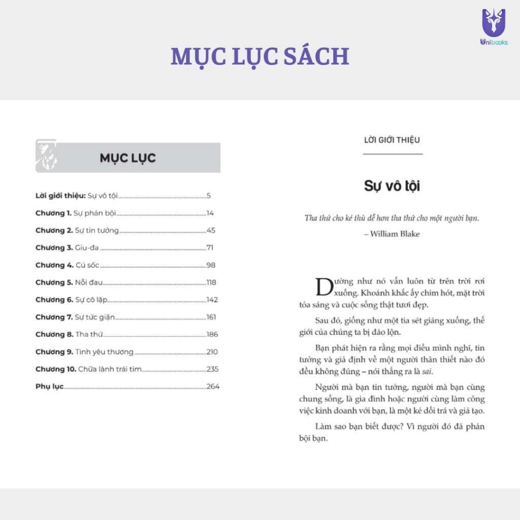 Sách - Vượt Qua Sự Phản Bội – Đừng Để Tổn Thương Quá Khứ Hạn Chế Các Mối Quan Hệ Trong Tương Lai