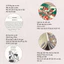 Sách - Cao Ly Đầu Hình - Đoàn Văn Đâu - Tiên Phong Books