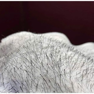 [TẶNG 200G] Hũ 500g sáp wax lông sữa dừa cao cấp coconut tẩy sạch đa vùng lông tay chân nách dùng cho cả da nhạy cảm