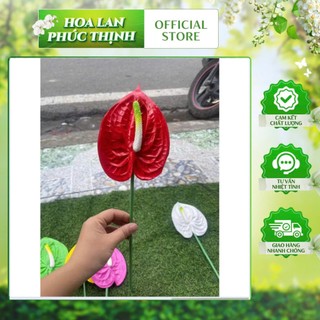 Combo 10 Cành hồng môn xốp 40-50cm (bông kt~13*15cm)- cắm bình hoa, lẵng hoa
