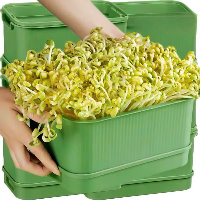 Khay Trồng Giá Đỗ, Trồng Rau Mầm Tại Nhà Không Cần Tưới Nước Hộp Làm Giá Đỗ Cho Dân Văn Phòng AMIZIN