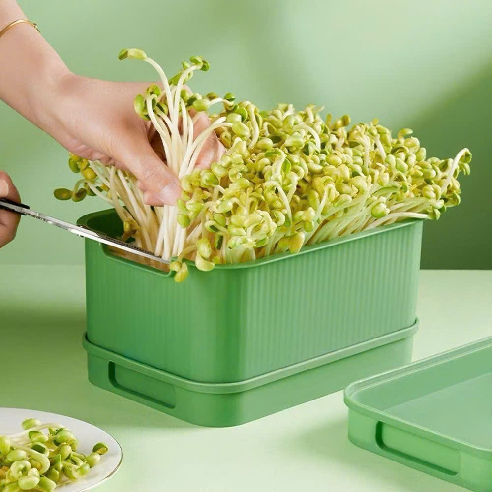 Khay Trồng Giá Đỗ, Trồng Rau Mầm Tại Nhà Không Cần Tưới Nước Hộp Làm Giá Đỗ Cho Dân Văn Phòng AMIZIN