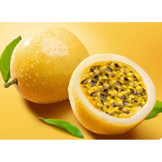Bầu cây giống chanh dây vàng, chanh dây hoàng kim