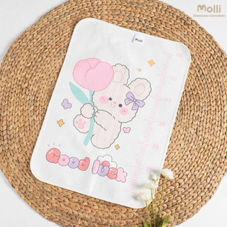 Tấm lót chống thấm 5D Molli 4 lớp thoáng khí cho bé hoạt tiết dễ thương vạch đo chiều cao