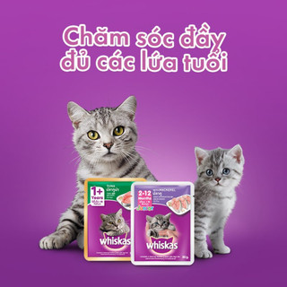Pate Whiskas Gói 80g Cho Mèo Con Và Mèo Lớn Nhiều Vị Thơm Ngon Giàu Dinh Dưỡng