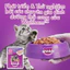 Pate WHISKAS 80g - Pate thức ăn ướt cho mèo_WHISKAS