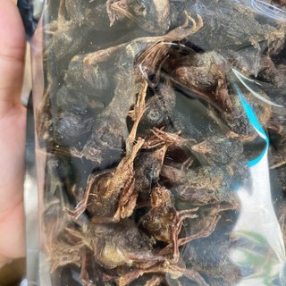 Chim Cút Sấy Đông Cho Chó, Mèo Bổ Sung Protein, Vitamin, Canxi Và Khoáng Chất Cho Thú Cưng