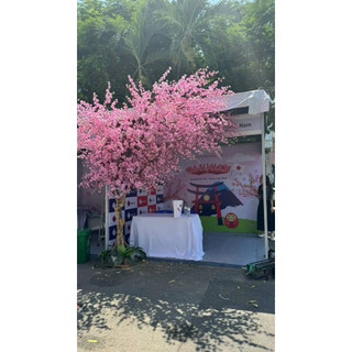 Combo 10 cành hoa anh đào giả - Hoa lụa Hạnh Hoan