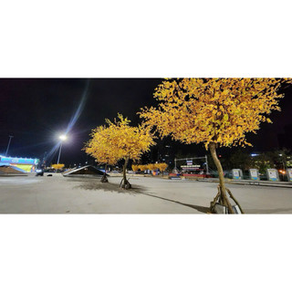 Cành hoa anh đào dài 1m - Hoa giả, hoa lụa Hạnh Hoan