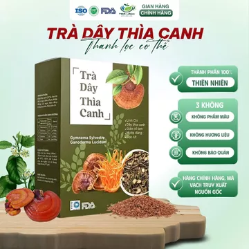 [Mua 3 Tặng 1 + Bình] Trà Dây Thìa Canh – Trà Hạ Đường Huyết, Hỗ Trợ Tiểu Đường, Trà Thảo Mộc Tea Box Detox Thanh Lọc
