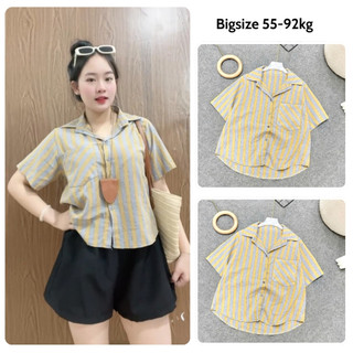 Áo Sơ Mi Nữ Bigsize Áo Kẻ Sọc Vải Linen Dáng Croptop Form Rộng  Cá Tính Màu Vintage Cho Chubby A288