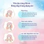Bộ 6 hộp Bông trang điểm (bông tẩy trang) Silcot 82 miếng/hộp