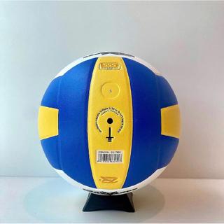 Quả Bóng Chuyền Thăng Long – VB7000 & VB7400