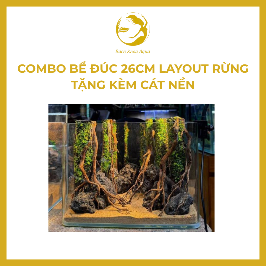[Gửi mẫu ngẫu nhiên] Combo bể đúc 26cm - layout rừng tặng kèm cát sẵn ...