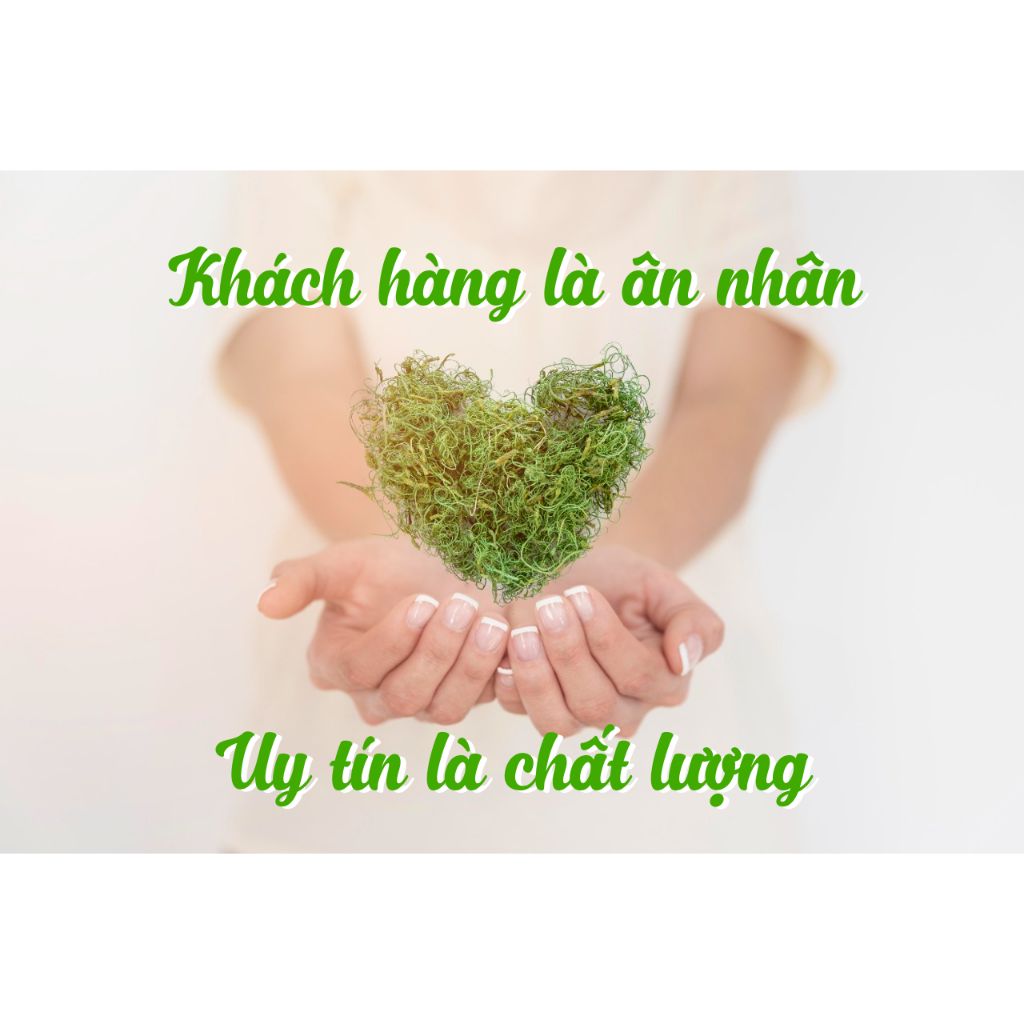 Muối Tiêu Lốp Phong Phú ( Lốc 12 )