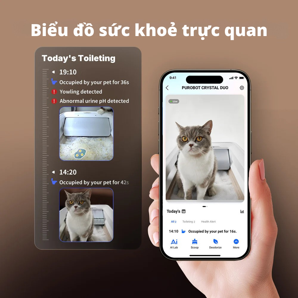 Máy Dọn Phân Mèo Tự Động, Nhà Vệ Sinh Cho Mèo Purobot Crystal Duo Phù Hợp Với Cát Thủy Tinh