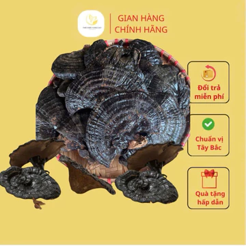 Cây Nấm Hắc Chi Hay Còn Gọi Linh Chi Đen Khô