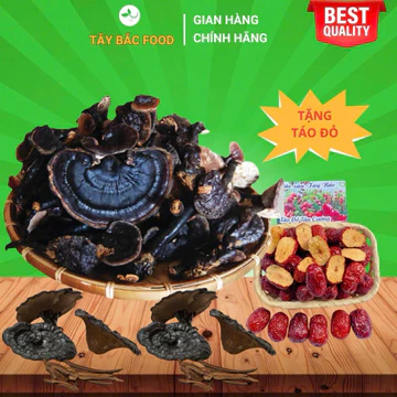 Cây Nấm Linh Chi Đen , Nấm Hắc Chi , Cây Nấm Khô Chuẩn