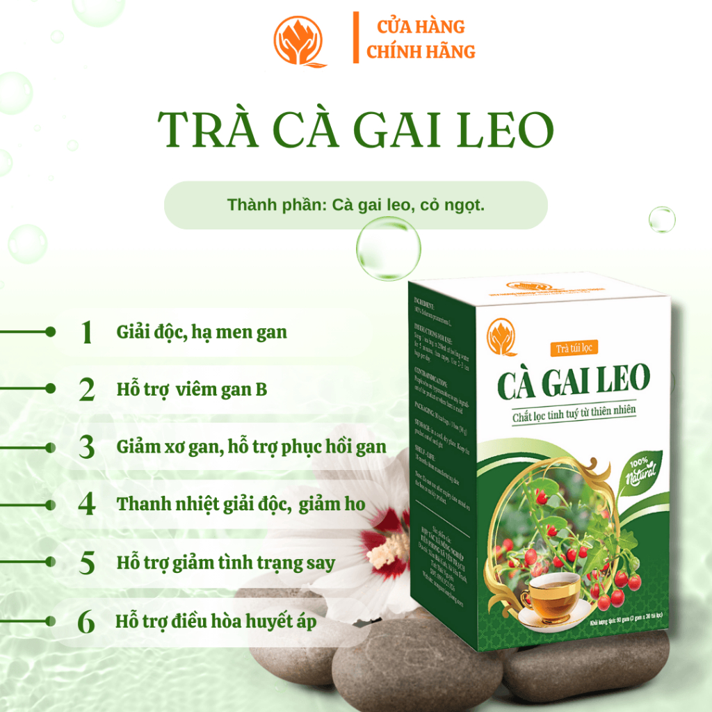 Trà túi lọc Cà gai leo - Thanh nhiệt giải độc mát gan