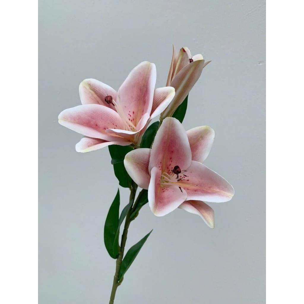 Cành hoa ly giả decor trang trí 2 bông 1 nụ cao 75cm chất liệu casu cao cấp