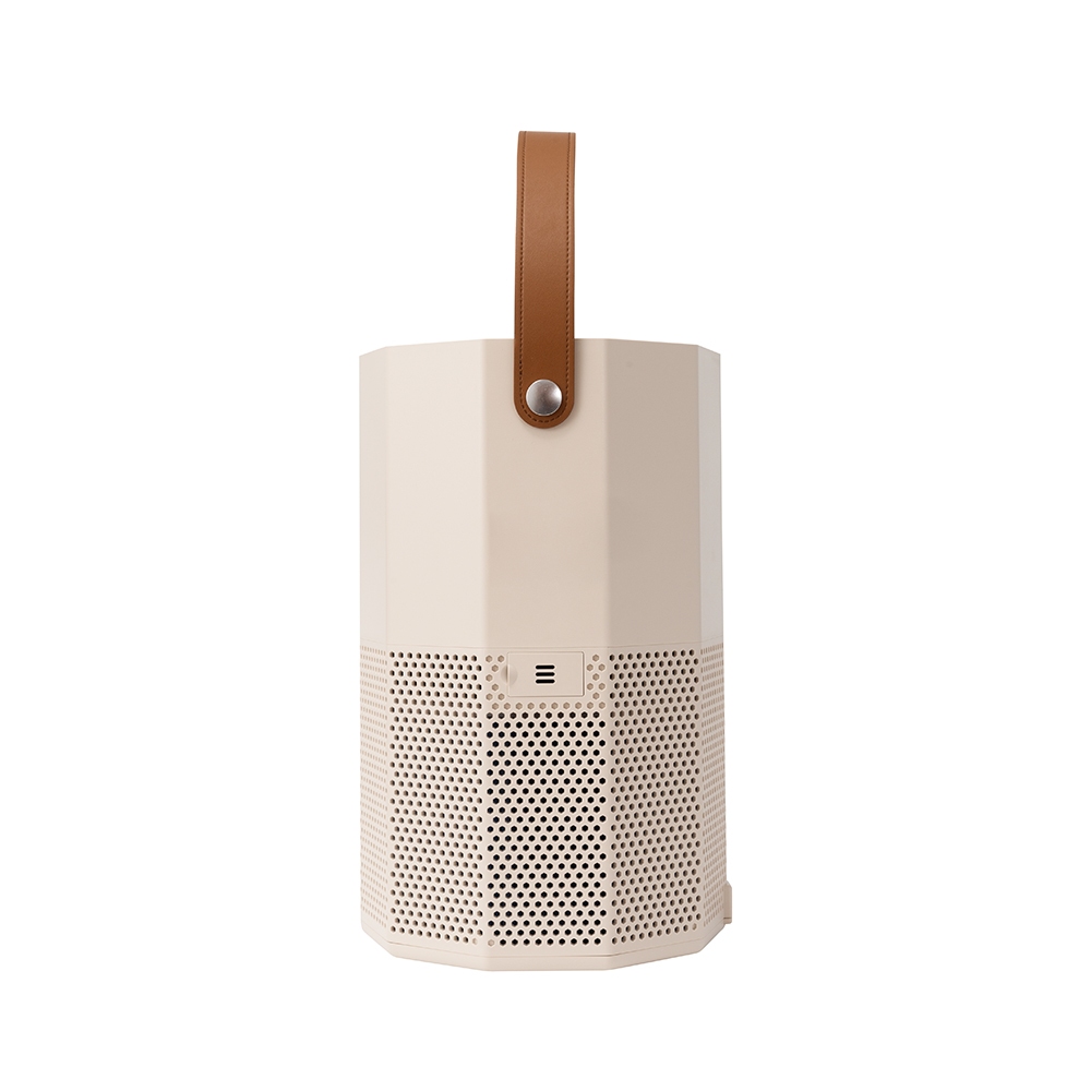 Máy lọc không khí Ion Elmich APE9325
